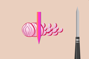 美国最高法院允许特朗普政府暂时扣留食品援助资金