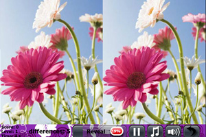 pg模拟器·com免费版