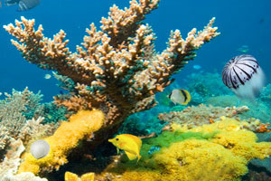 美国CDC更新婴儿肉毒中毒病例信息