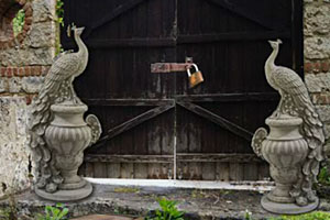 Palantir首席执行官：部分人工智能投资“得不偿失”