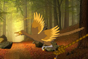 气候灾害导致美国内陆保费飙升、承保范围缩减