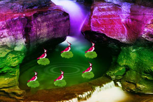 跨年潜力股会是哪些？五大特征锁定，低价+低市值的绩优潜力热门股出炉