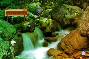 高瓴、正心谷出手！“资深专业机构投资者”，再现科创板！