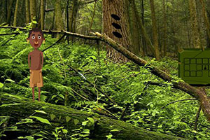 气候灾害导致美国内陆保费飙升、承保范围缩减