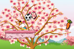 参议院民主党人让步 舒默降低对结束美国政府停摆的要求