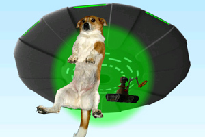 乘联分会崔东树：10月全国汽车市场总体走势较强 ，商用车市场现结构性增长