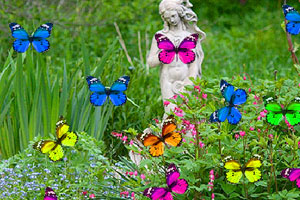 伯克希尔披露建仓Alphabet后股价走高