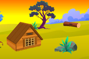 美国国税局提高2026年退休金限额