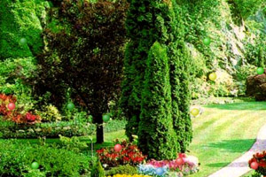 AI赛道下一个新风口？SOFC龙头飙涨超500% A股受益股名单出炉