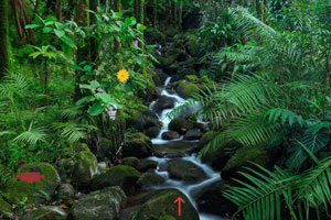 IPO受理量激增！投行业务火了