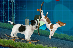 美国退伍军人节 星巴克等餐厅有优惠