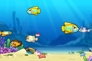 苹果在中国下架LGBTQ+约会应用