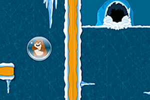 美国与拉美多国达成贸易协议，下调阿根廷牛肉关税