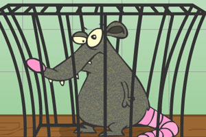 投资者聚焦爱彼迎利润增长