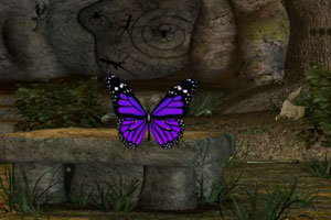 粤桂股份：股票交易异常波动