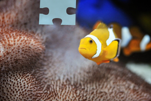 维萨卡与万事达卡提议降低刷卡费