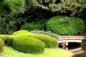 美国最高法院允许特朗普政府暂时扣留食品援助资金