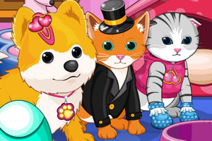 2025佳能影像嘉年华之佳能EOS 5系数码相机20周年创作者大会在沪举办