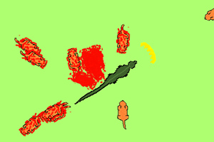 重庆时时采app下载官方版电脑免费版