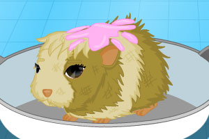 艾克曼化身“恋爱导师” 病毒式约会建议引发广泛讨论