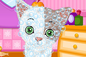 特朗普寻求调查摩根大通与爱泼斯坦的关系